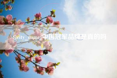 台山中国冠军品牌是真的吗