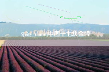 台山中国十七块金牌