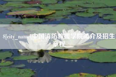 台山中国消防救援学院简介及招生章程