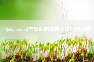 台山宁夏消防报名入口官网公告