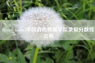 台山中国消防救援学院录取分数线公布
