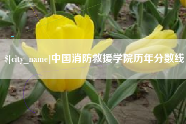 台山中国消防救援学院历年分数线