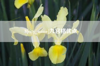 台山九宫格优点