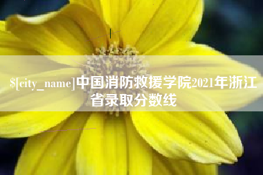 台山中国消防救援学院2021年浙江省录取分数线