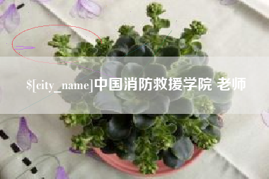 台山中国消防救援学院 老师