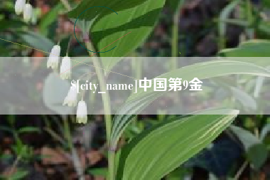 台山中国第9金