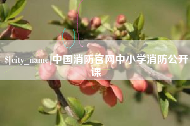 台山中国消防官网中小学消防公开课