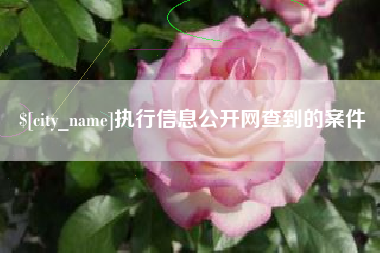 台山执行信息公开网查到的案件