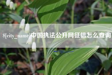 台山中国执法公开网征信怎么查询