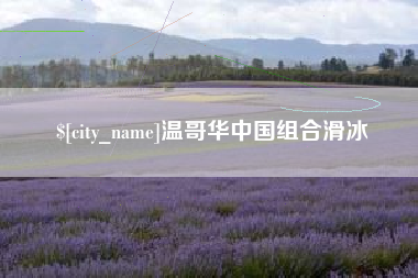 台山温哥华中国组合滑冰