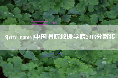 台山中国消防救援学院2018分数线