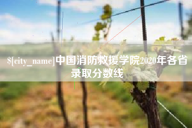 台山中国消防救援学院2020年各省录取分数线