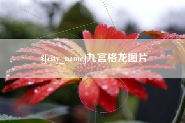 台山九宫格龙图片