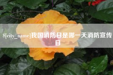 台山我国消防日是哪一天消防宣传日