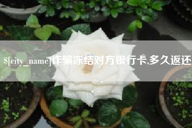台山诈骗冻结对方银行卡,多久返还