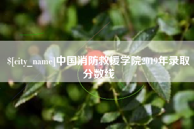 台山中国消防救援学院2019年录取分数线