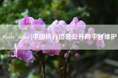 台山中国执行信息公开网平台维护