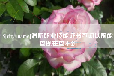 台山消防职业技能证书查询以前能查现在查不到