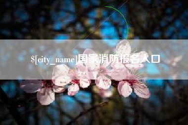 台山国家消防报名入口
