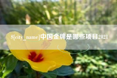 台山中国金牌是哪些项目2021