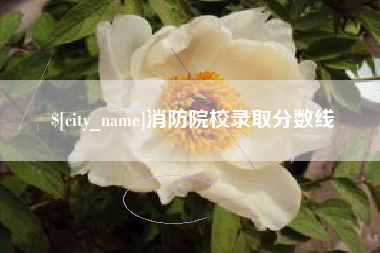 台山消防院校录取分数线