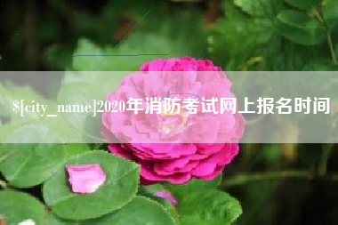 台山2020年消防考试网上报名时间