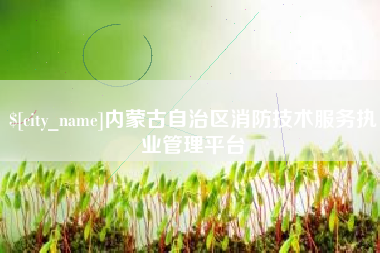 台山内蒙古自治区消防技术服务执业管理平台
