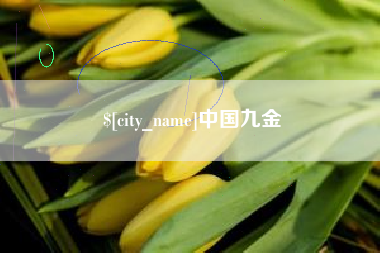 台山中国九金
