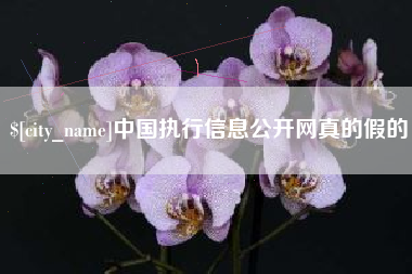 台山中国执行信息公开网真的假的