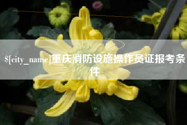 台山重庆消防设施操作员证报考条件