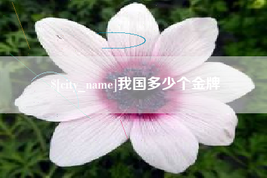 台山我国多少个金牌