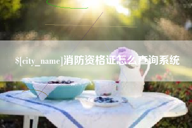 台山消防资格证怎么查询系统