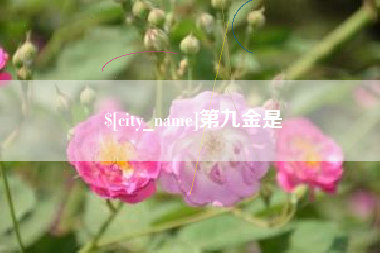 台山第九金是