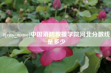 台山中国消防救援学院河北分数线是多少