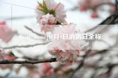 台山11月9日消防日全称