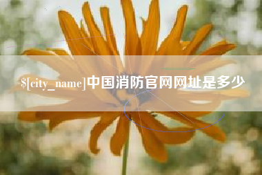台山中国消防官网网址是多少