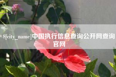 台山中国执行信息查询公开网查询官网
