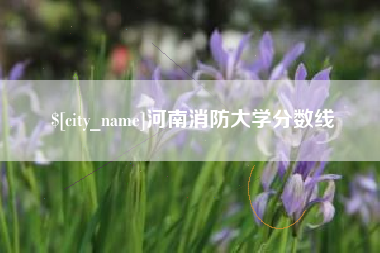 台山河南消防大学分数线