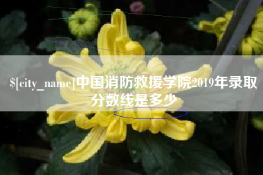 台山中国消防救援学院2019年录取分数线是多少