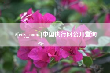 台山中国执行网公开查询