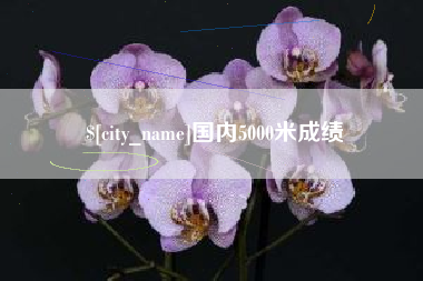 台山国内5000米成绩