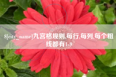 台山九宫格规则,每行,每列,每个粗线都有1-9