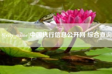台山中国执行信息公开网 综合查询