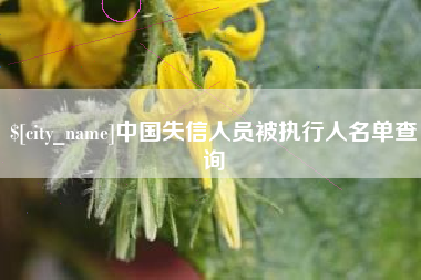 台山中国失信人员被执行人名单查询