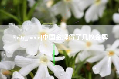 台山中国金牌得了几枚金牌