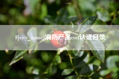 台山消防产品cccf认证目录