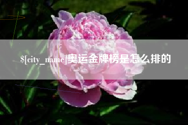 台山奥运金牌榜是怎么排的