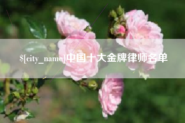 台山中国十大金牌律师名单