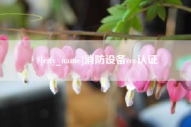 台山消防设备ccc认证