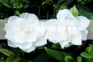 台山现在中国金牌是多少